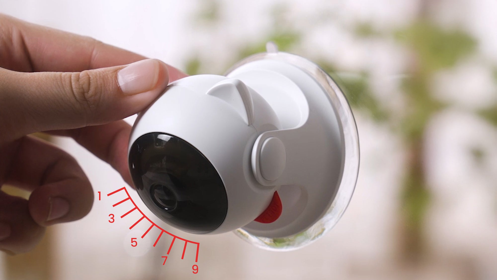 Image representing PawsPik automatic laser cat toy.