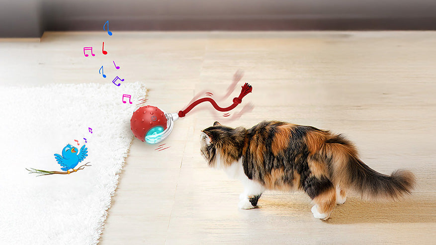 A playful calico cat curiously approaches a colorful smart cat toy ball, with musical notes and a cartoon bird nearby.