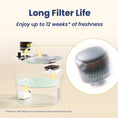 Load image into Gallery viewer, PawsPik® PureFlow MAX Stainless Steel Cat and Small Dog Water Fountain Replacement Filters