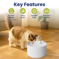 Load image into Gallery viewer, A fluffy cat drinks from a sleek white ceramic cat fountain featuring key features like quiet operation and durable build.