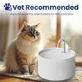 Load image into Gallery viewer, A fluffy cat sits beside a white cat water fountain labeled "Vet Recommended" for daily hydration, with a soft, cozy background.