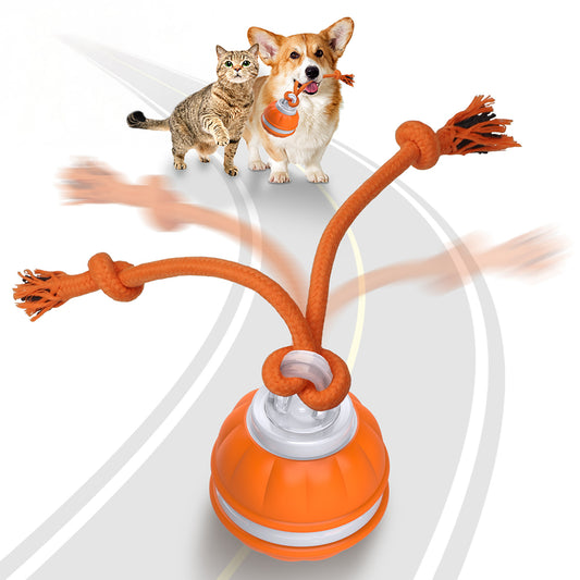 PawsPik® Rope Runner Interactive Squeaky Rechargeable Small Dog Ball & Rope Toy