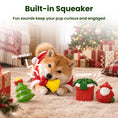 Load image into Gallery viewer, PawsPik® Christmas Bundle Holiday Squeaky & Dental Chew Dog Toy, 4 count