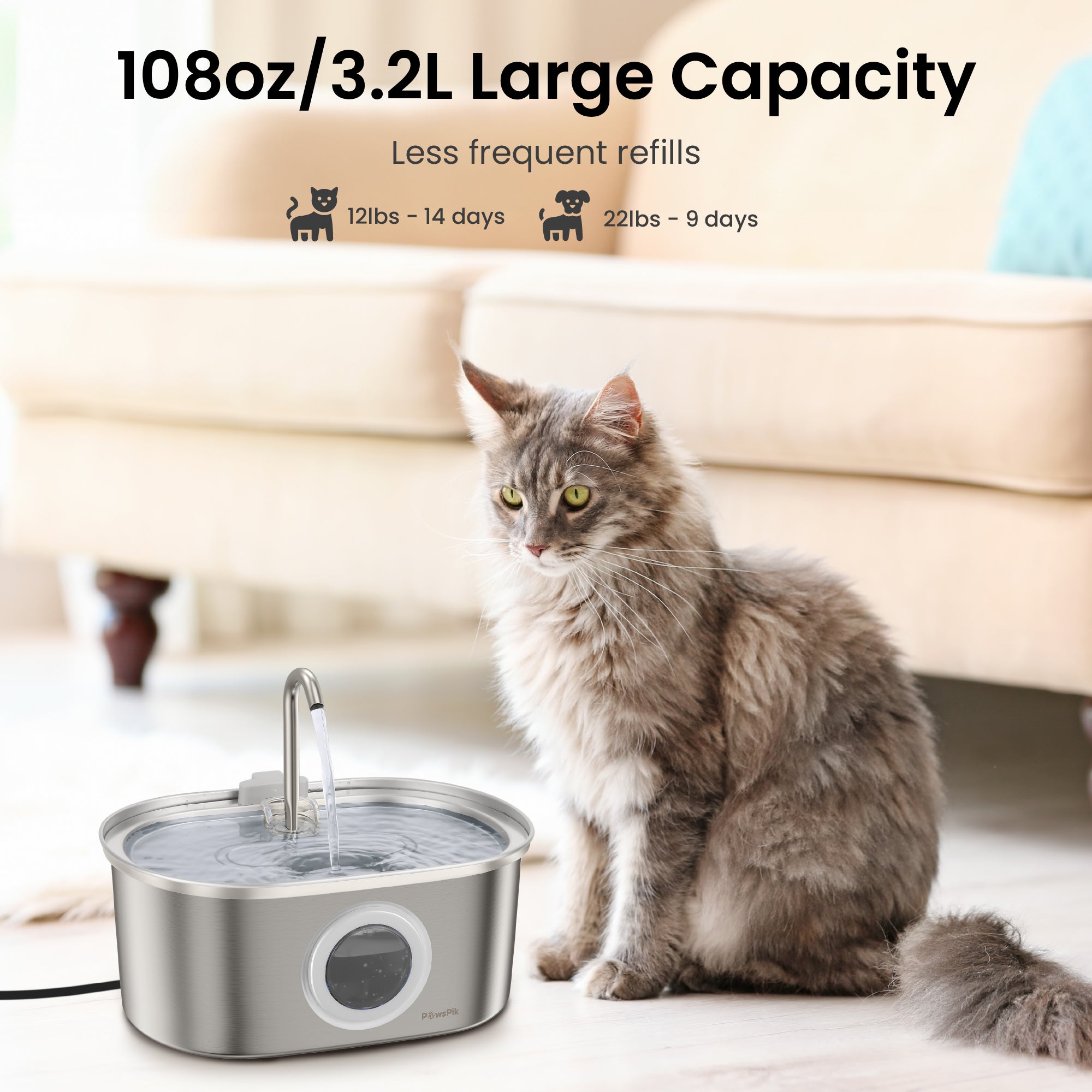 A fluffy gray cat sitting next to a large 3.2L PawsPik cat water fountain.
