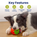 Load image into Gallery viewer, PawsPik® Strawberry Treat Dispensing Enrichment Dog Chew Toy