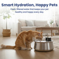 Load image into Gallery viewer, PawsPik® Stainless Steel Battery-Operated Dog & Cat Water Fountain, 4-L