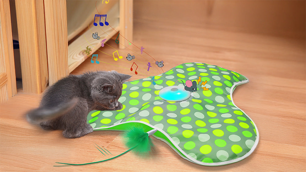 A curious gray kitten plays with a colorful, interactive cat enrichment toy featuring lights, sounds, and a feather for entertainment.
