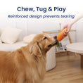 Load image into Gallery viewer, PawsPik® Carrot Natural Rubber Dog Chew Toy