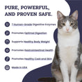 Load image into Gallery viewer, Artisanal Paws™ Digestive Enzyme Support Formula Powder Supplement for Cats, 3.8-oz