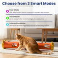 Load image into Gallery viewer, PawsPik® Electric Feather Teaser-Tube Cat Toy