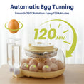 Load image into Gallery viewer, PawsPik® Automatic 18 Egg Smart Incubator