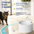 Load image into Gallery viewer, PawsPik® CeramiFlow Ceramic Cat Water Fountain