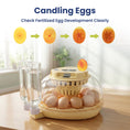 Load image into Gallery viewer, PawsPik® Automatic Egg Smart Incubator