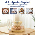 Load image into Gallery viewer, PawsPik® Automatic Egg Smart Incubator