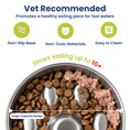 Load image into Gallery viewer, Vet-recommended slow eating dog bowl to slow fast eaters. Features a non-slip base, non-toxic materials, and easy cleaning. Large capacity included.