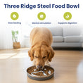 Load image into Gallery viewer, A golden retriever eats from a three-ridge steel slow feed bowl designed for slow feeding, mental stimulation, and better digestion.