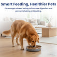 Load image into Gallery viewer, A golden retriever is eating from a slow eating dog bowl in a modern living room, promoting healthy digestion and reducing choking risks.
