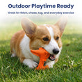 Load image into Gallery viewer, PawsPik® Dragon Natural Rubber Dog Chew Toy