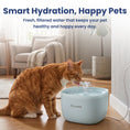 Load image into Gallery viewer, PawsPik® PURE-01 Automatic Plastic Cat Water Fountain, White