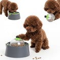 Load image into Gallery viewer, PawsPik® 3-in-1 Multi-Purpose Treat, Feed & Lick Station Dog Feeder, Black, Small