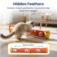 Load image into Gallery viewer, PawsPik® Electric Feather Teaser-Tube Cat Toy