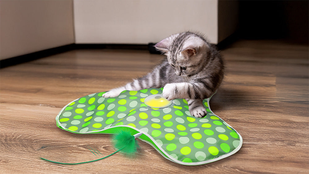 A playful gray kitten interacts with a green polka-dotted smart cat toy featuring a yellow button and a green feather toy.