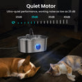 Load image into Gallery viewer, A dog and cat resting beside a quiet pet water fountain by PawsPik with highlights of its 25dB noise level.