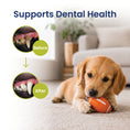Load image into Gallery viewer, PawsPik® Football Natural Rubber Stuffing-Free Teething Tough Chew Dog Toy, Orange