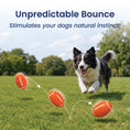 Load image into Gallery viewer, PawsPik® Football Natural Rubber Stuffing-Free Teething Tough Chew Dog Toy, Orange
