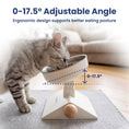 Load image into Gallery viewer, PawsPik® Adjustable Angle & Height Elevated Stainless Steel Dog Bowl