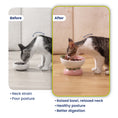 Load image into Gallery viewer, PawsPik® Fresh Picks Holiday Collection Elevated Ceramic Cat Bowl, Strawberry, 8-oz