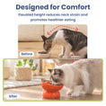 Load image into Gallery viewer, PawsPik® Fresh Picks Holiday Collection Elevated Ceramic Cat Bowl, Tomato, 8-oz