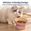 Load image into Gallery viewer, PawsPik® Fresh Picks Holiday Collection Elevated Ceramic Cat Bowl, Peach, 8-oz