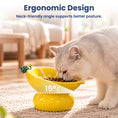 Load image into Gallery viewer, PawsPik® Fresh Picks Holiday Collection Elevated Ceramic Cat Bowl, Lemon, 8-oz