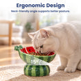 Load image into Gallery viewer, PawsPik® Fresh Picks Holiday Collection Elevated Ceramic Cat Bowl, Watermelon, 8-oz