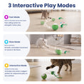 Load image into Gallery viewer, PawsPik® Dragonfly Spinning Ball Electronic Battery-Operated Cat Toy, Green