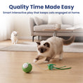 Load image into Gallery viewer, PawsPik® Dragonfly Spinning Ball Electronic Battery-Operated Cat Toy, Green