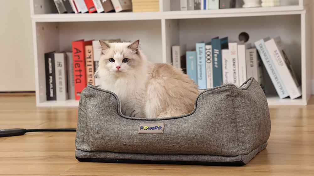 A fluffy cream-colored cat sitting inside an ash-grey self warming cat bed, with a bookshelf in the background.