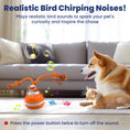 Load image into Gallery viewer, PawsPik® Rope Runner Interactive Squeaky Rechargeable Small Dog Ball & Rope Toy