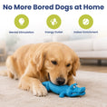 Load image into Gallery viewer, PawsPik® Crocodile Natural Rubber Dog Chew Toy