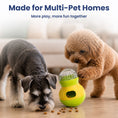 Load image into Gallery viewer, PawsPik® Interactive Wobble Tumbler Treat Dispenser Small Dog & Cat Toy