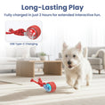 Load image into Gallery viewer, PawsPik® Tug & Spin Smart Interactive Dog Toy, Red
