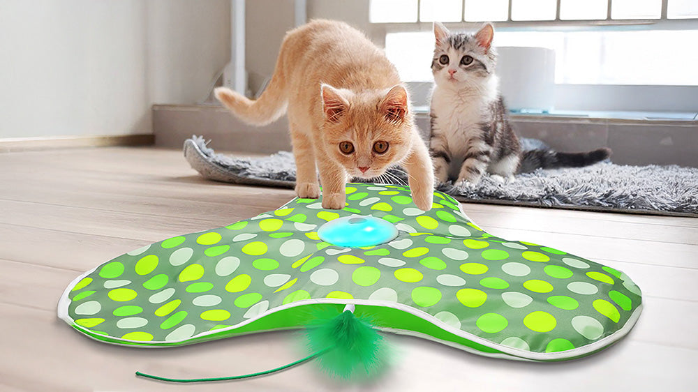 Two playful cats interact with a green and white polka-dotted automatic cat toy featuring a blue light and a feather, indoors on a wooden floor.