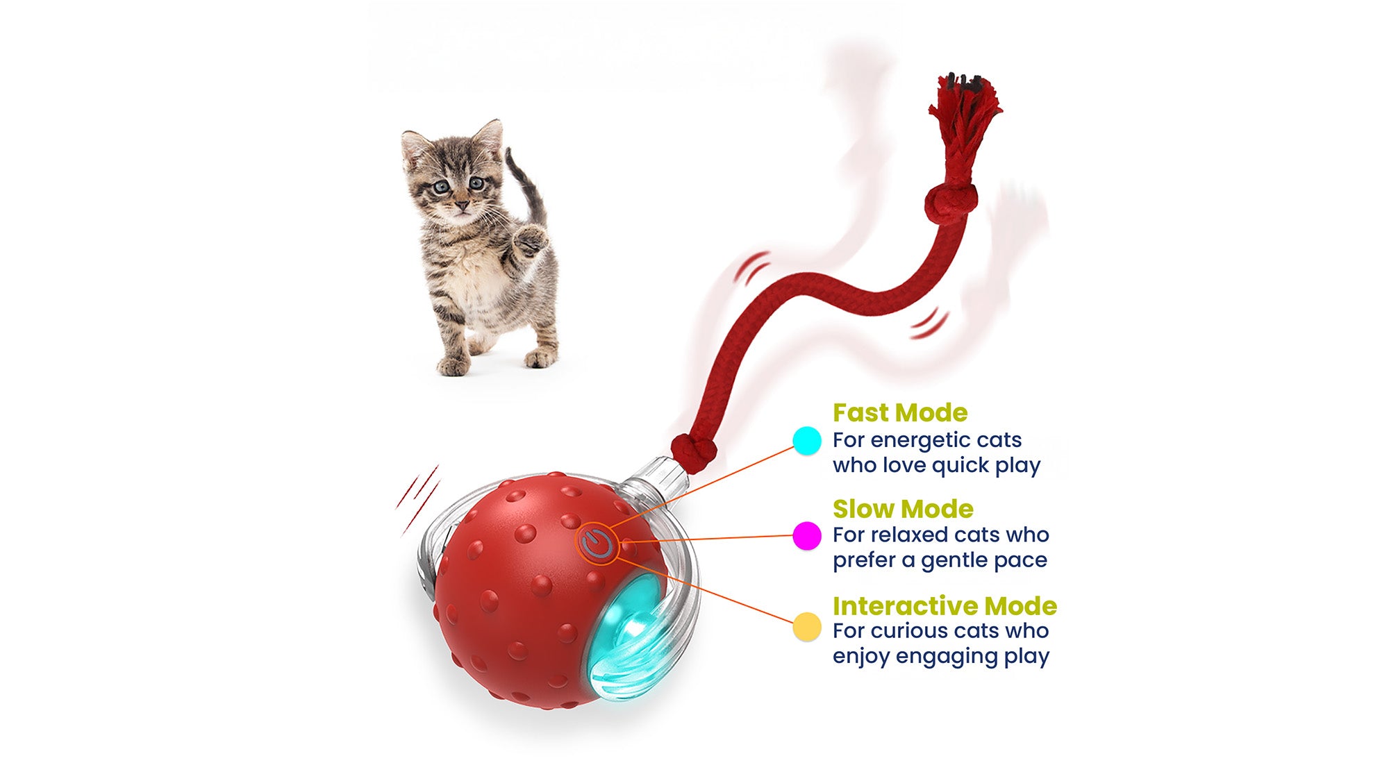 A playful kitten stands beside a red cat ball, showcasing three modes: Fast, Slow, and Interactive for varied play styles.