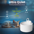 Load image into Gallery viewer, PawsPik® CeramiFlow Ceramic Cat Water Fountain