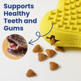 Load image into Gallery viewer, A yellow dog toy with a heart shape dispenses treats promoting healthy teeth and gums alongside an image of a dog's mouth.