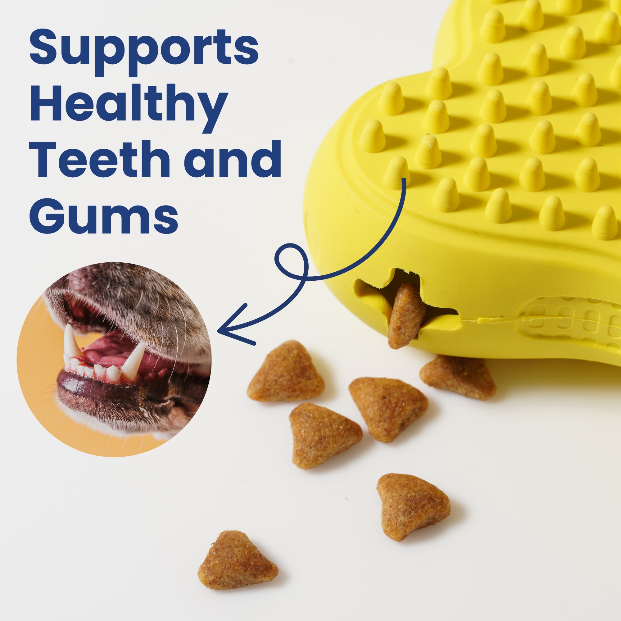 A yellow dog toy with a heart shape dispenses treats promoting healthy teeth and gums alongside an image of a dog's mouth.