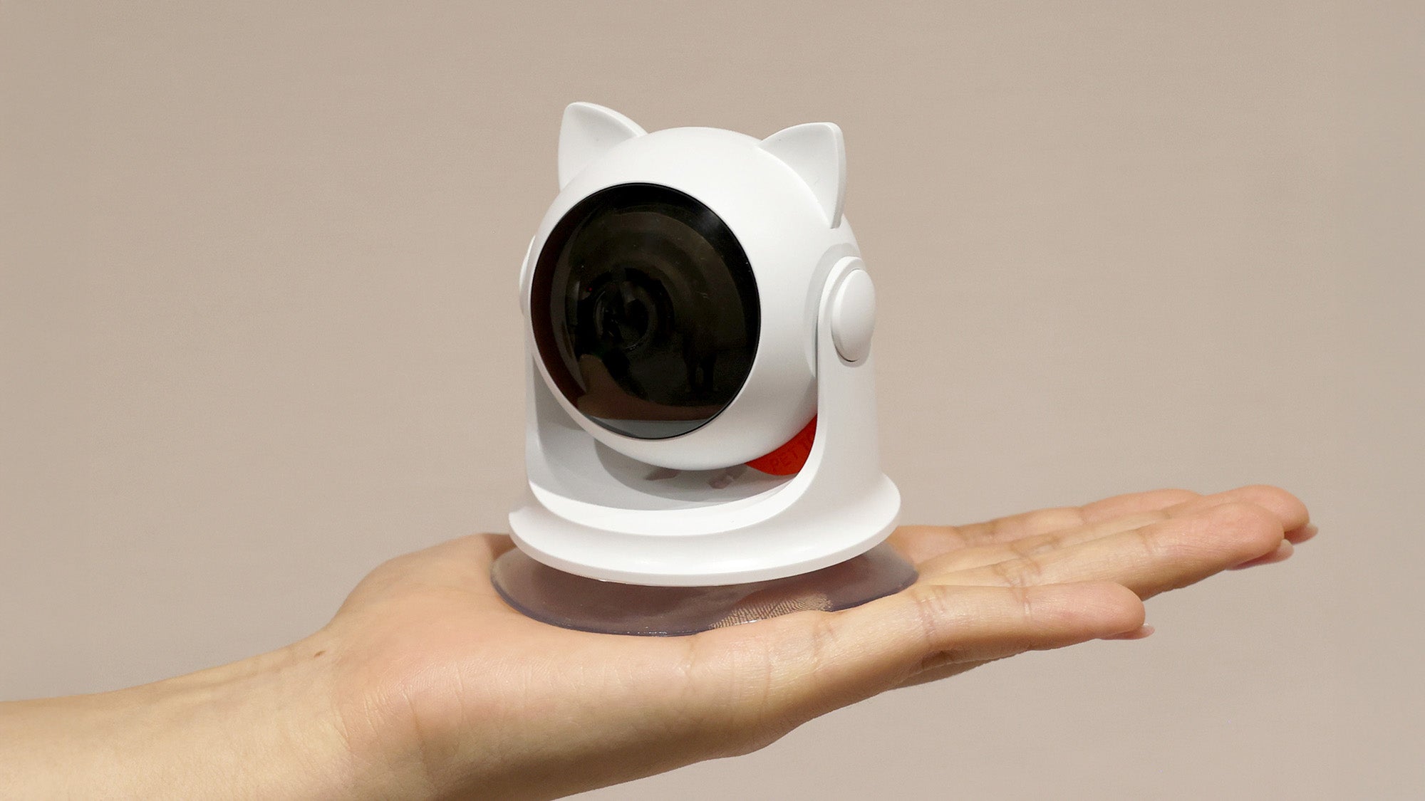 A hand holds a small, white cat laser toy with large black lens, featuring cat ears and a suction base against a plain background.