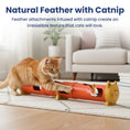 Load image into Gallery viewer, PawsPik® Electric Feather Teaser-Tube Cat Toy