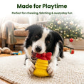 Load image into Gallery viewer, PawsPik® Christmas Bundle Holiday Squeaky & Dental Chew Dog Toy, 4 count